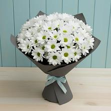 Букет цветов из:  Хризантемы #REPLACE_PRED# Медвеженском