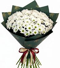 Букет цветов из:  Хризантемы #REPLACE_PRED# Медвеженском